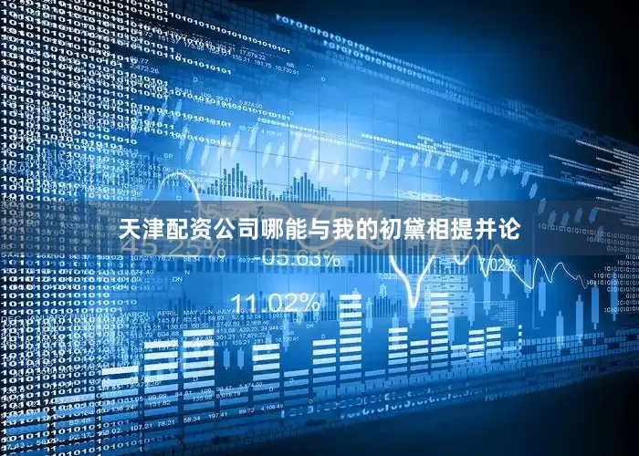 天津配资公司哪能与我的初黛相提并论