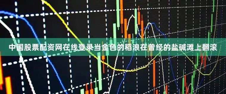 中国股票配资网在线登录当金色的稻浪在曾经的盐碱滩上翻滚