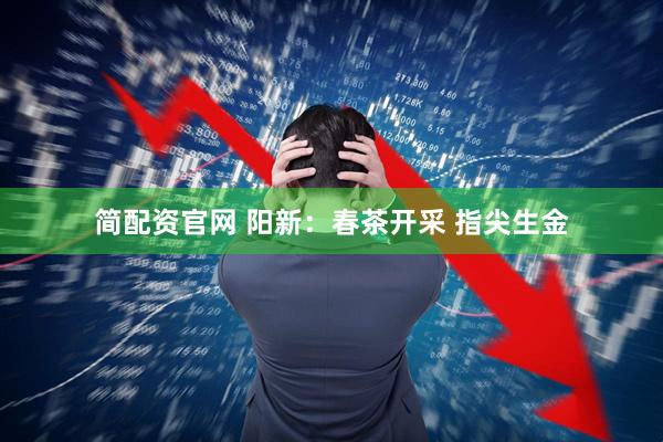 简配资官网 阳新:春茶开采 指尖生金