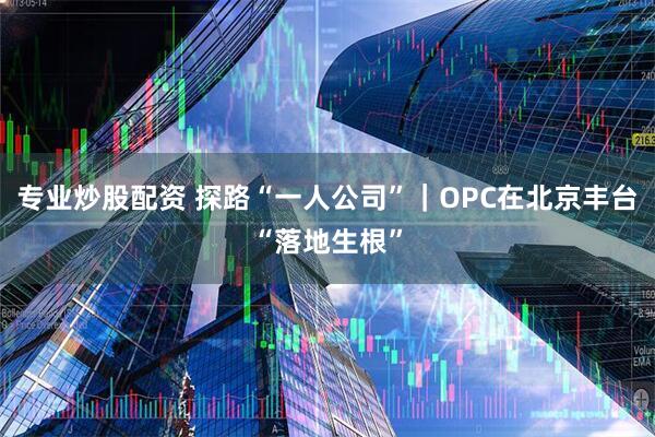 专业炒股配资 探路“一人公司”｜OPC在北京丰台“落地生根”
