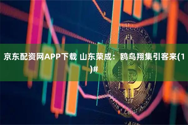 京东配资网APP下载 山东荣成：鸥鸟翔集引客来(1)#